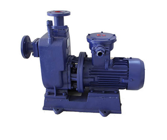 ֱʽ������